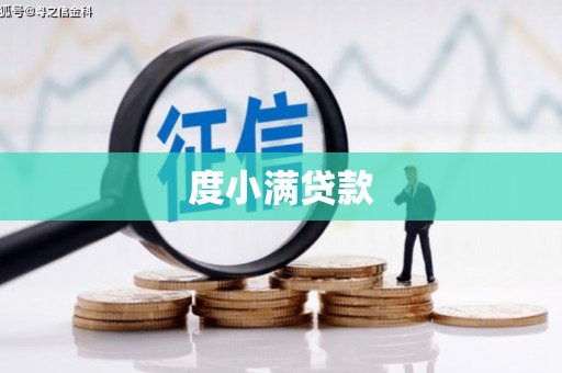 大寮度小满贷款