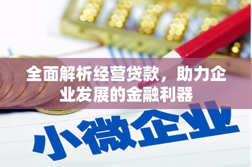 大寮全面解析经营贷款，助力企业发展的金融利器