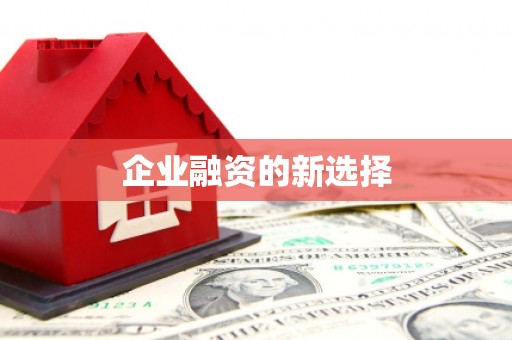 大寮企业融资的新选择