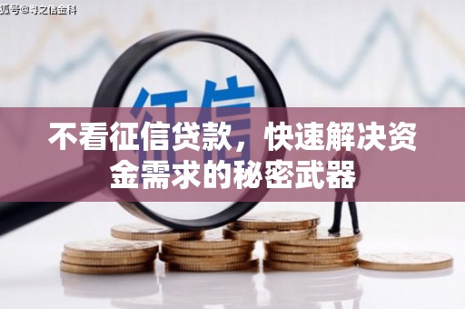 大寮不看征信贷款，快速解决资金需求的秘密武器