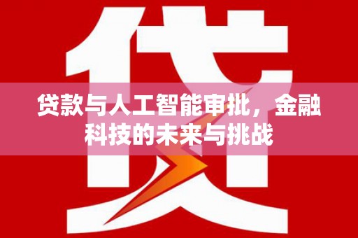 大寮贷款与人工智能审批，金融科技的未来与挑战