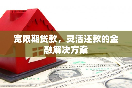 大寮宽限期贷款，灵活还款的金融解决方案