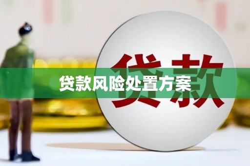 大寮贷款风险处置方案