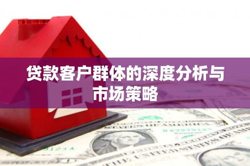 大寮贷款客户群体的深度分析与市场策略