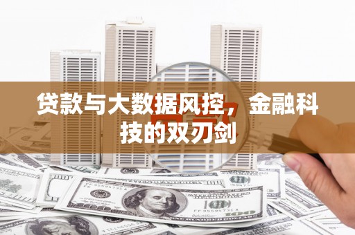 大寮贷款与大数据风控，金融科技的双刃剑