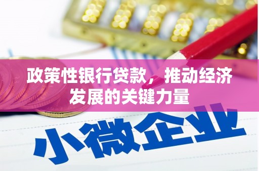 大寮政策性银行贷款，推动经济发展的关键力量