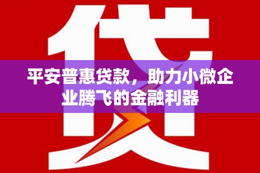 大寮平安普惠贷款，助力小微企业腾飞的金融利器
