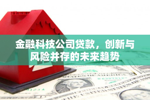 大寮金融科技公司贷款，创新与风险并存的未来趋势