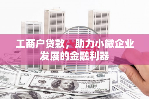 大寮工商户贷款，助力小微企业发展的金融利器