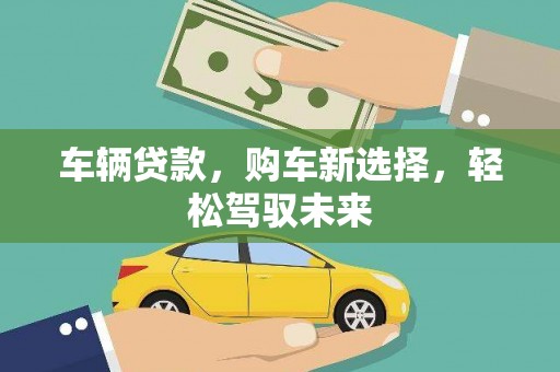 大寮车辆贷款，购车新选择，轻松驾驭未来
