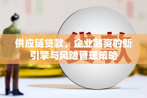 大寮供应链贷款，企业融资的新引擎与风险管理策略