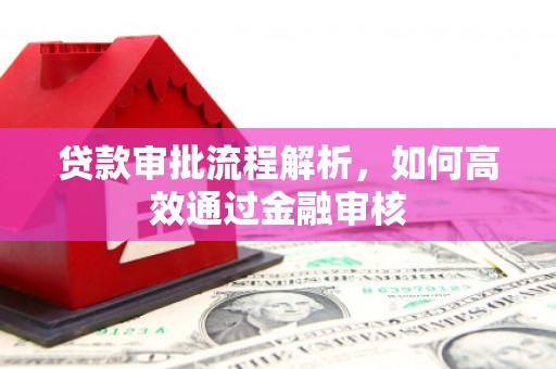 大寮贷款审批流程解析，如何高效通过金融审核