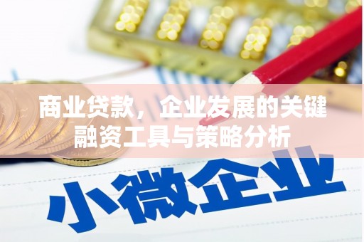 大寮商业贷款，企业发展的关键融资工具与策略分析