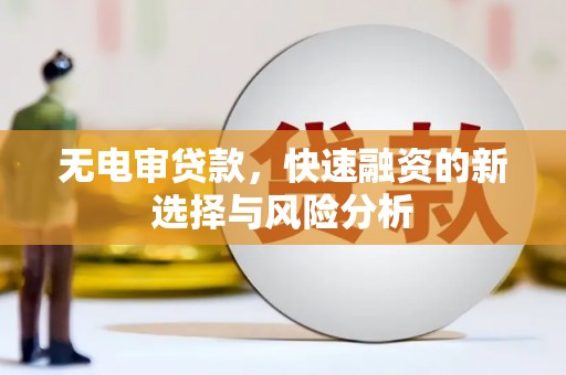 大寮无电审贷款，快速融资的新选择与风险分析