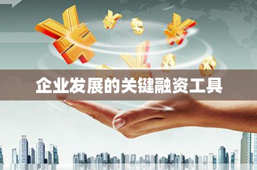 大寮企业发展的关键融资工具