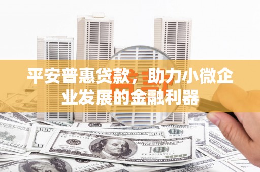 大寮平安普惠贷款，助力小微企业发展的金融利器
