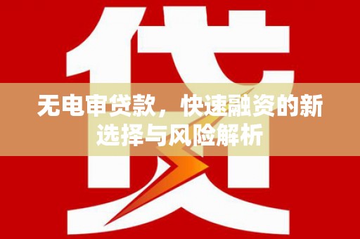 大寮无电审贷款，快速融资的新选择与风险解析