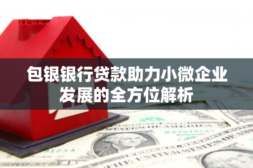 大寮包银银行贷款助力小微企业发展的全方位解析
