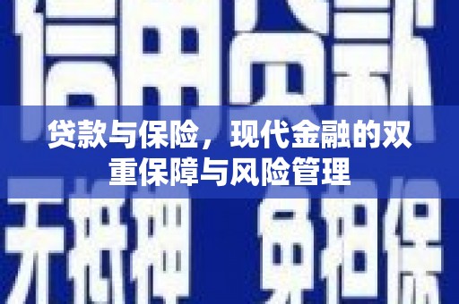 大寮贷款与保险，现代金融的双重保障与风险管理
