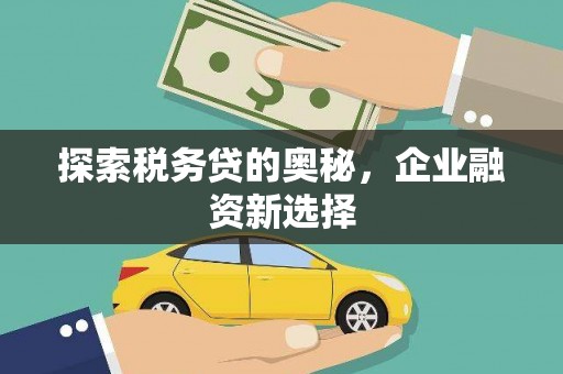 大寮探索税务贷的奥秘，企业融资新选择