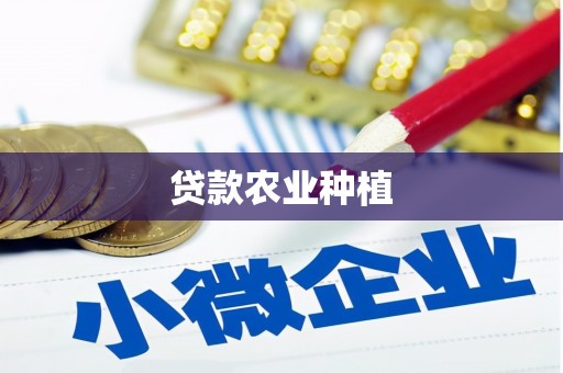 大寮贷款农业种植