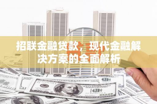 大寮招联金融贷款，现代金融解决方案的全面解析
