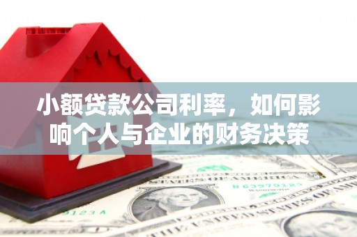 大寮小额贷款公司利率，如何影响个人与企业的财务决策