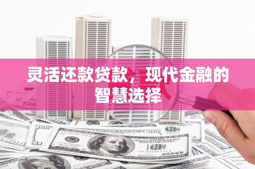 大寮灵活还款贷款，现代金融的智慧选择