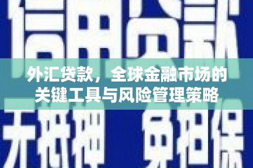大寮外汇贷款，全球金融市场的关键工具与风险管理策略