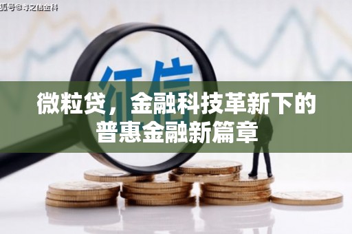 大寮微粒贷，金融科技革新下的普惠金融新篇章