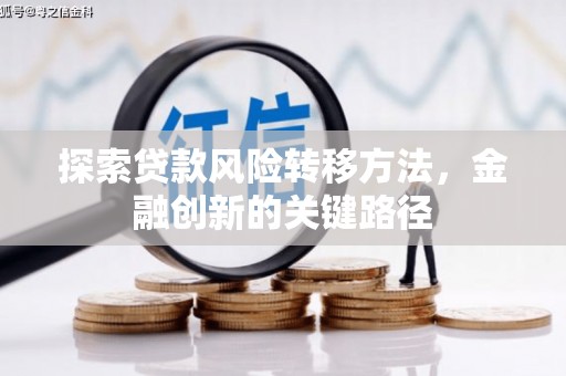 大寮探索贷款风险转移方法，金融创新的关键路径