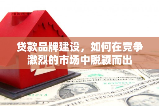 大寮贷款品牌建设，如何在竞争激烈的市场中脱颖而出