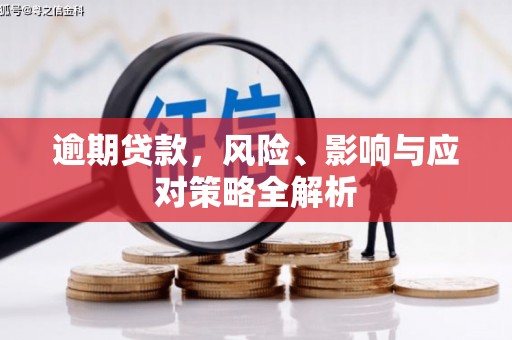 大寮逾期贷款，风险、影响与应对策略全解析