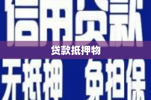 大寮贷款抵押物