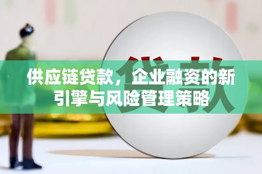 大寮供应链贷款，企业融资的新引擎与风险管理策略