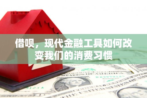 大寮借呗，现代金融工具如何改变我们的消费习惯