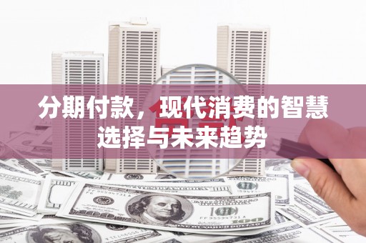 大寮分期付款，现代消费的智慧选择与未来趋势