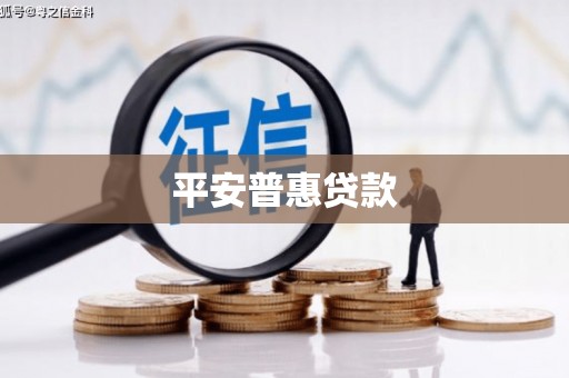 大寮平安普惠贷款