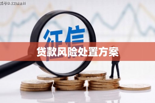 大寮贷款风险处置方案