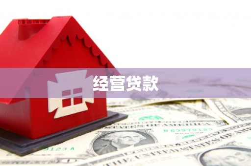 大寮经营贷款