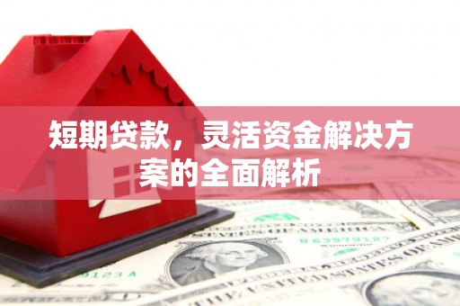 大寮短期贷款，灵活资金解决方案的全面解析
