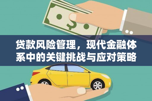 大寮贷款风险管理，现代金融体系中的关键挑战与应对策略