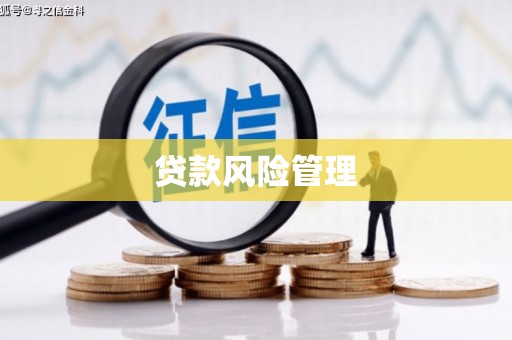 大寮贷款风险管理