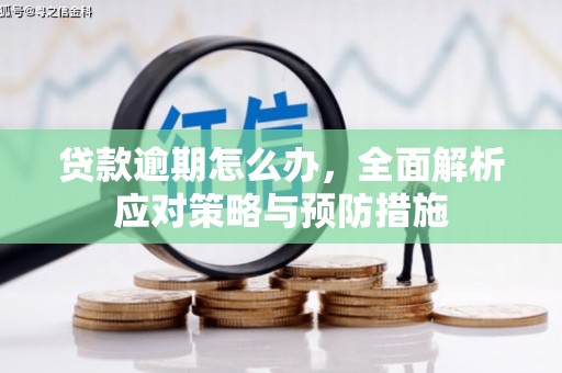 大寮贷款逾期怎么办，全面解析应对策略与预防措施