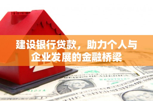 大寮建设银行贷款，助力个人与企业发展的金融桥梁