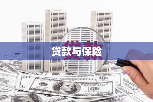 大寮贷款与保险