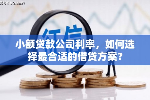大寮小额贷款公司利率，如何选择最合适的借贷方案？