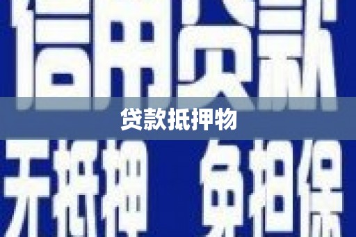 大寮贷款抵押物