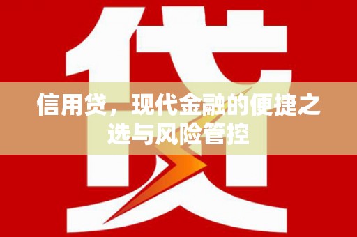 大寮信用贷，现代金融的便捷之选与风险管控