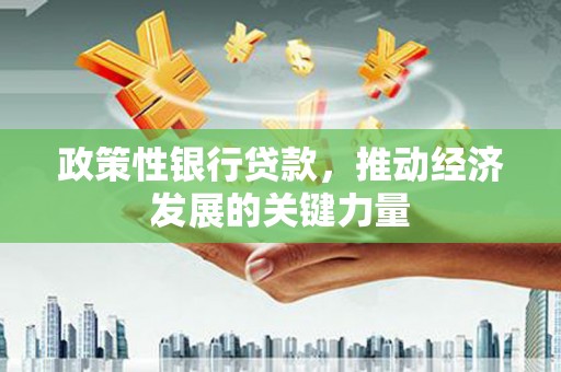 大寮政策性银行贷款，推动经济发展的关键力量